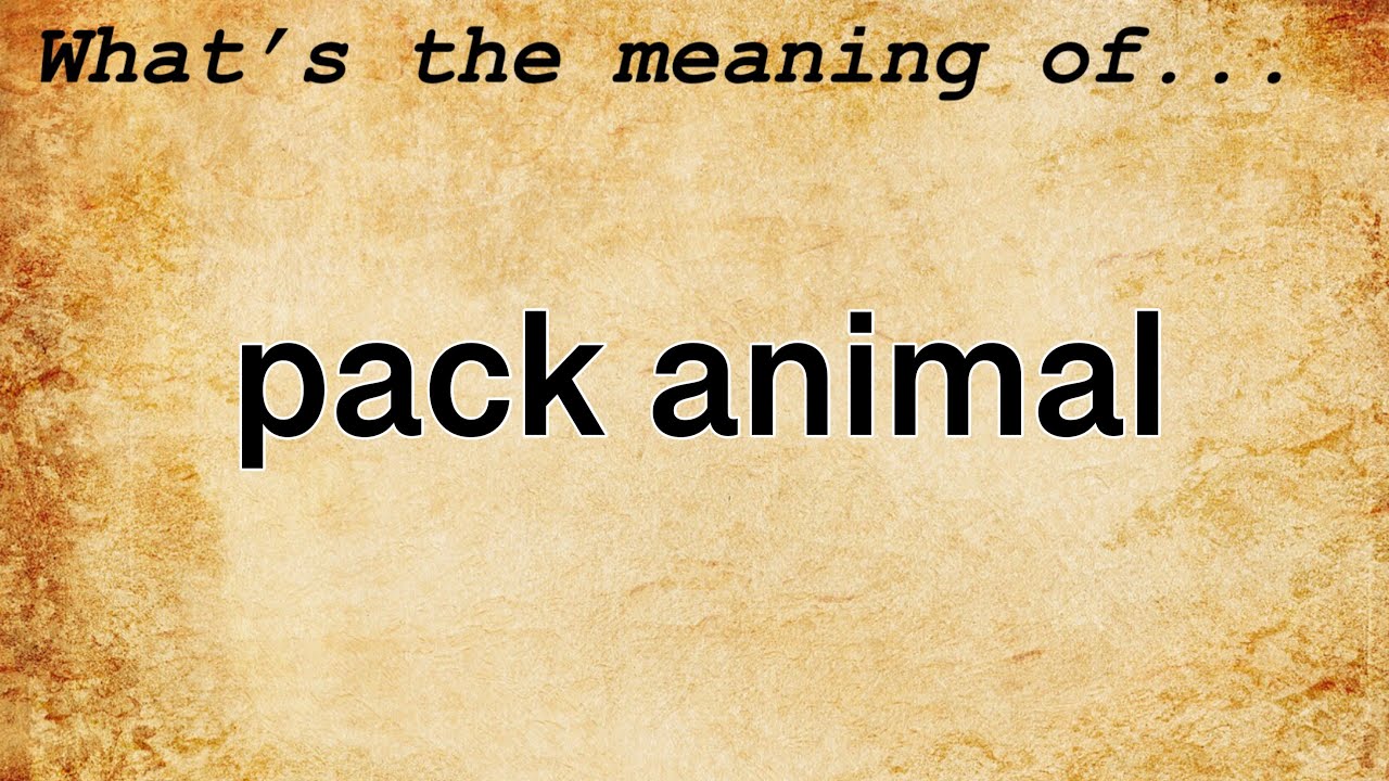 Pack Animal Meaning : Definition of Pack Animal