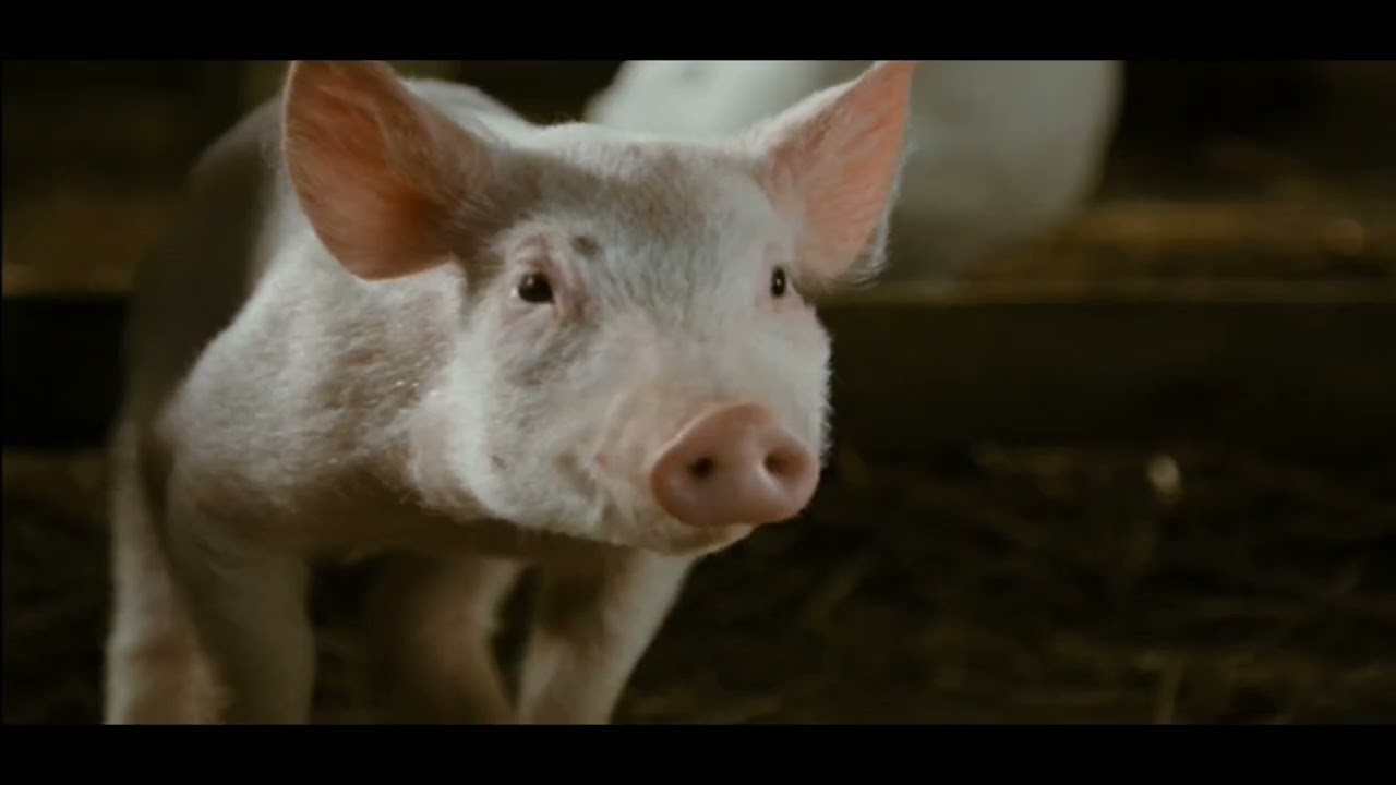 Charlotte's Web (2006) - Templeton tells the dark truth