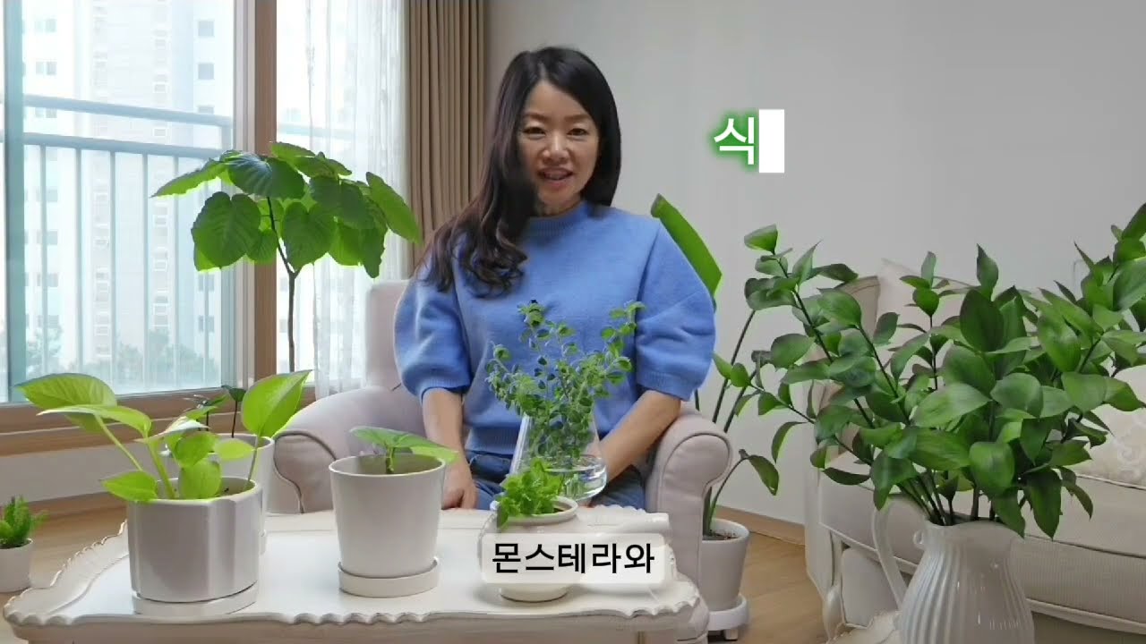 수경식물 키우기로 식물고수 되기, 3년 차 식집사의 하루 #수경재배 #거실식물