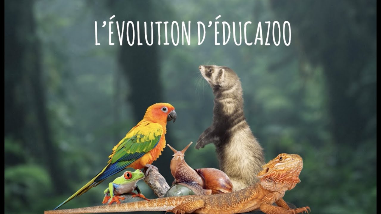 ÉPISODE 2 - SAISON 1 - L'évolution d'Éducazoo