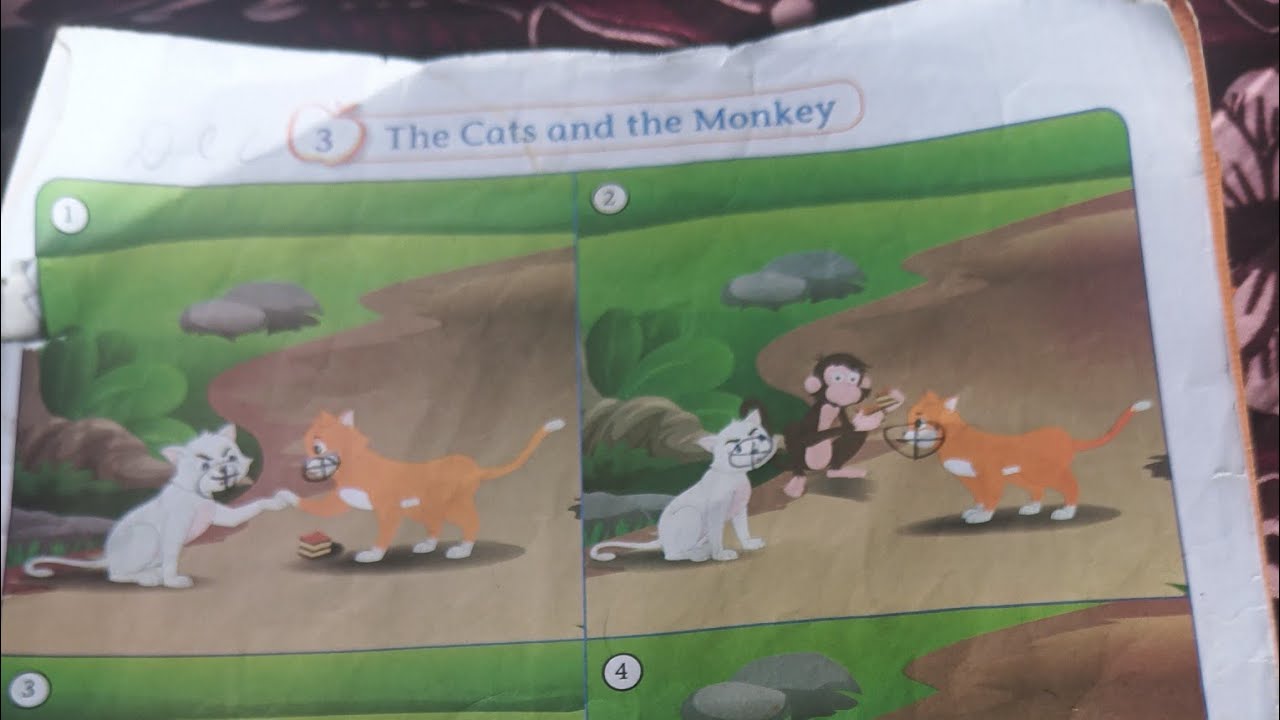 The Cat and the Monkey #learning #story @farhanaamairaKhan 