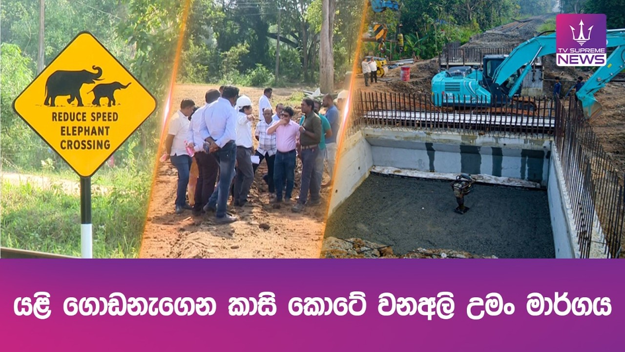 යළි ගොඩනැගෙන කාසි කොටේ වනඅලි උමං මාර්ගය