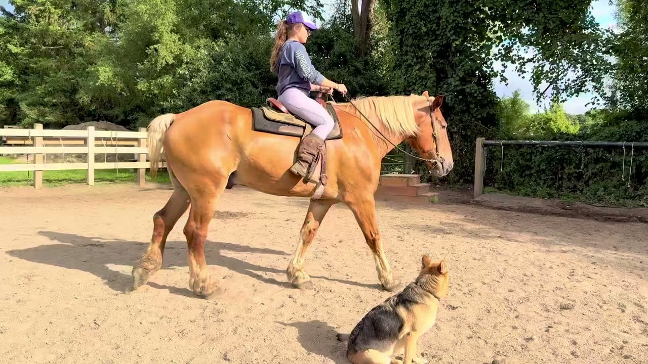 Hulk undersaddle