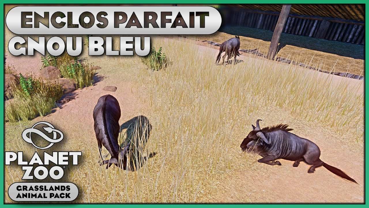 Le Gnou Bleu et sa p&acirc;ture | LES ENCLOS PARFAITS : &Eacute;PISODE 114 | PLANET ZOO