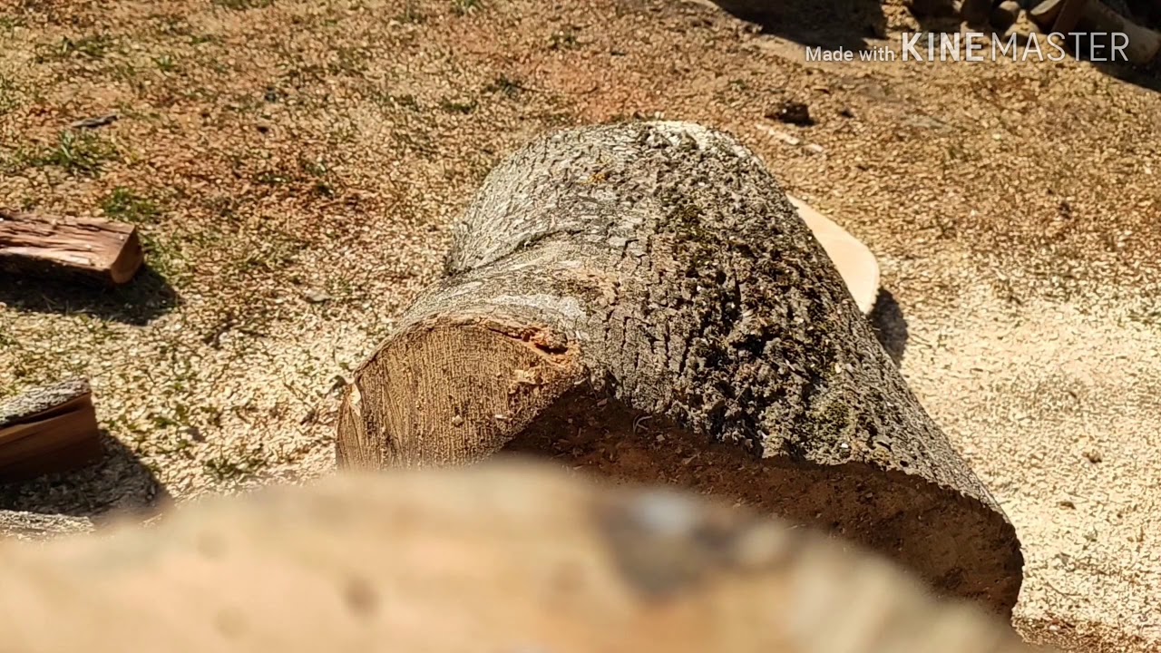 Kineska motorna testera Klon vs Stihl 026