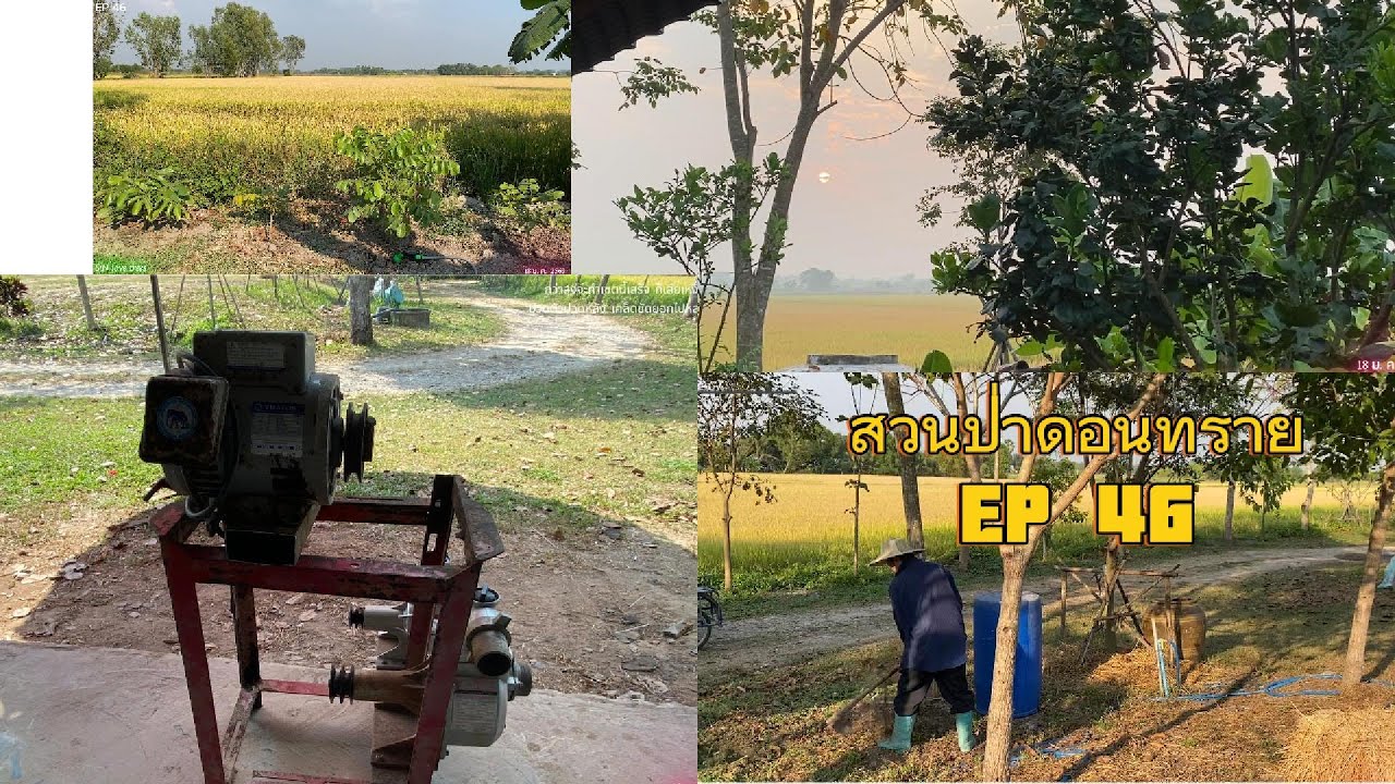 EP46 สวนป่าดอนทราย 46  (ม.ค.69)