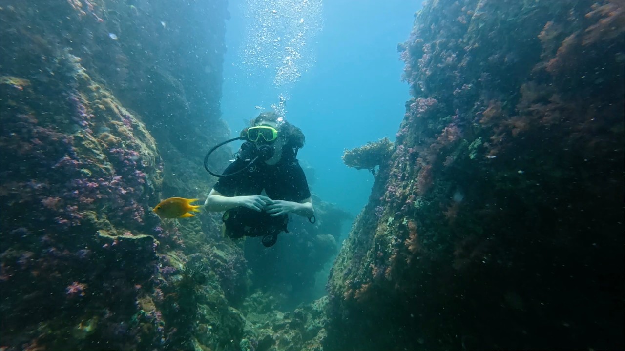 Matt Kowalsky ft. Tomek Nowak - Underwater Sounds (Rework) #liquidfunk #90smusic  #kohlipe #diving