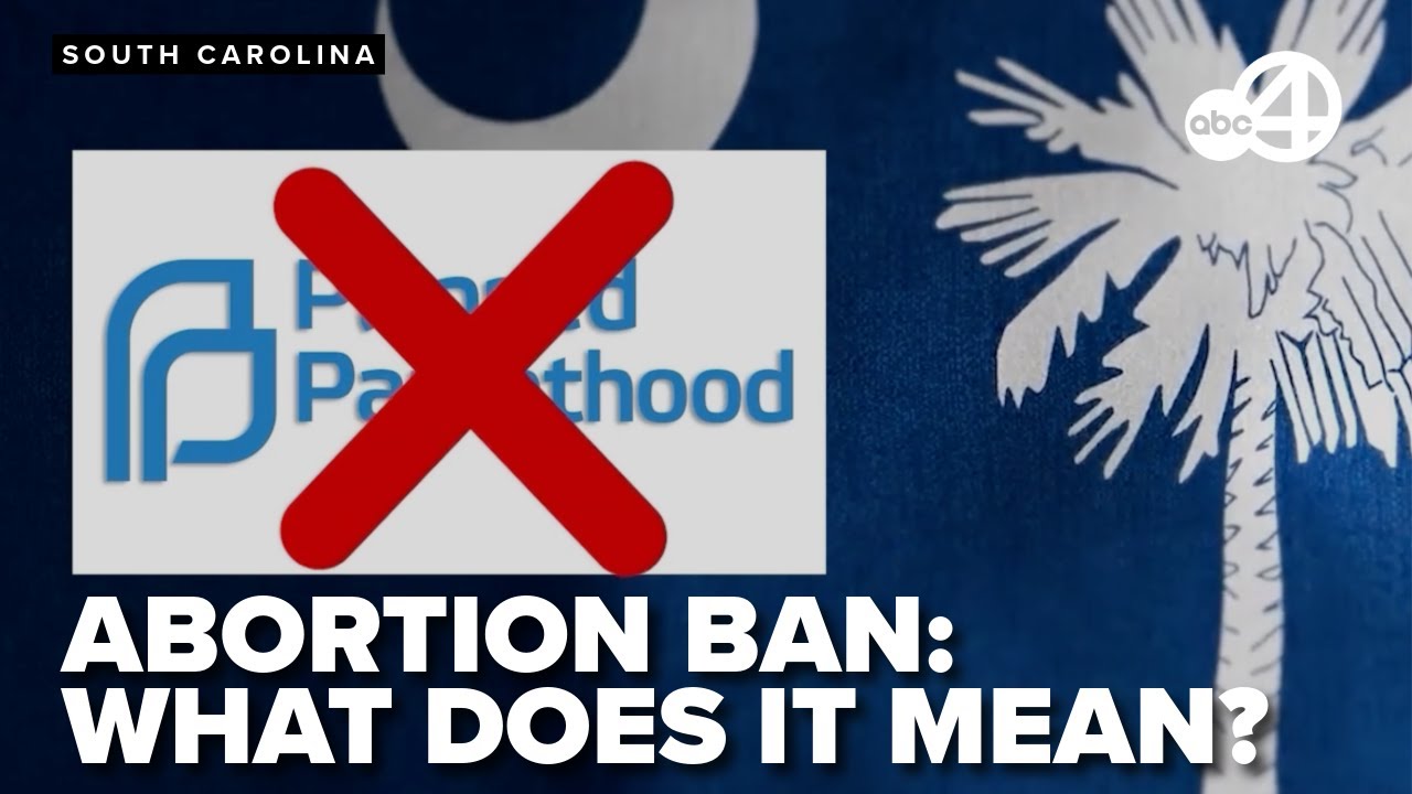 SC Abortion Ban Explained: Senate Bill on total ban and upcoming public sub-committee hearing