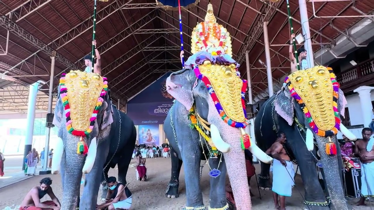Ettumanoor Mahadeva Temple melam❤️‍🔥❤️‍🔥#live 
