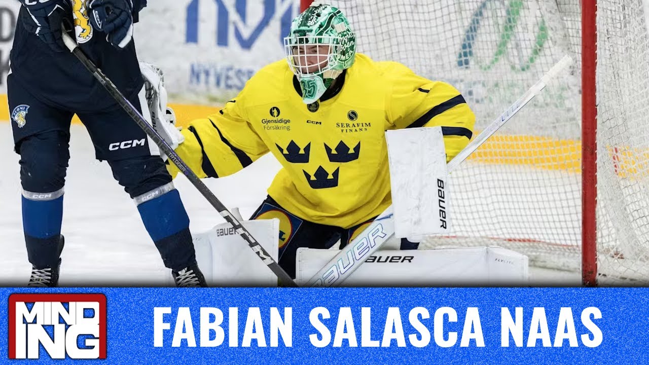 Fabian Salasca Nääs | 2027 NHL Draft | vs Timrå IK U18 Oct. 19, 2025