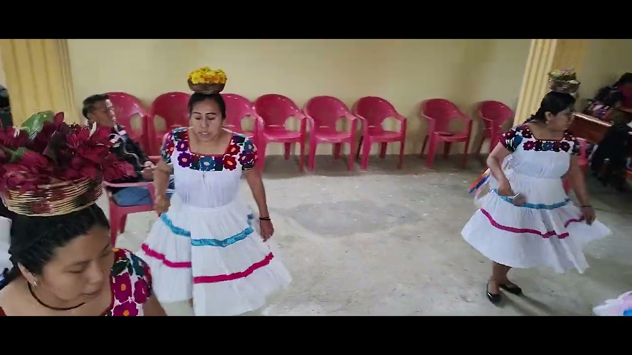 Danza, de inditas santa Cecilia, informes, 7713463437, sólo por Whatsapp, con Don Albino García,,