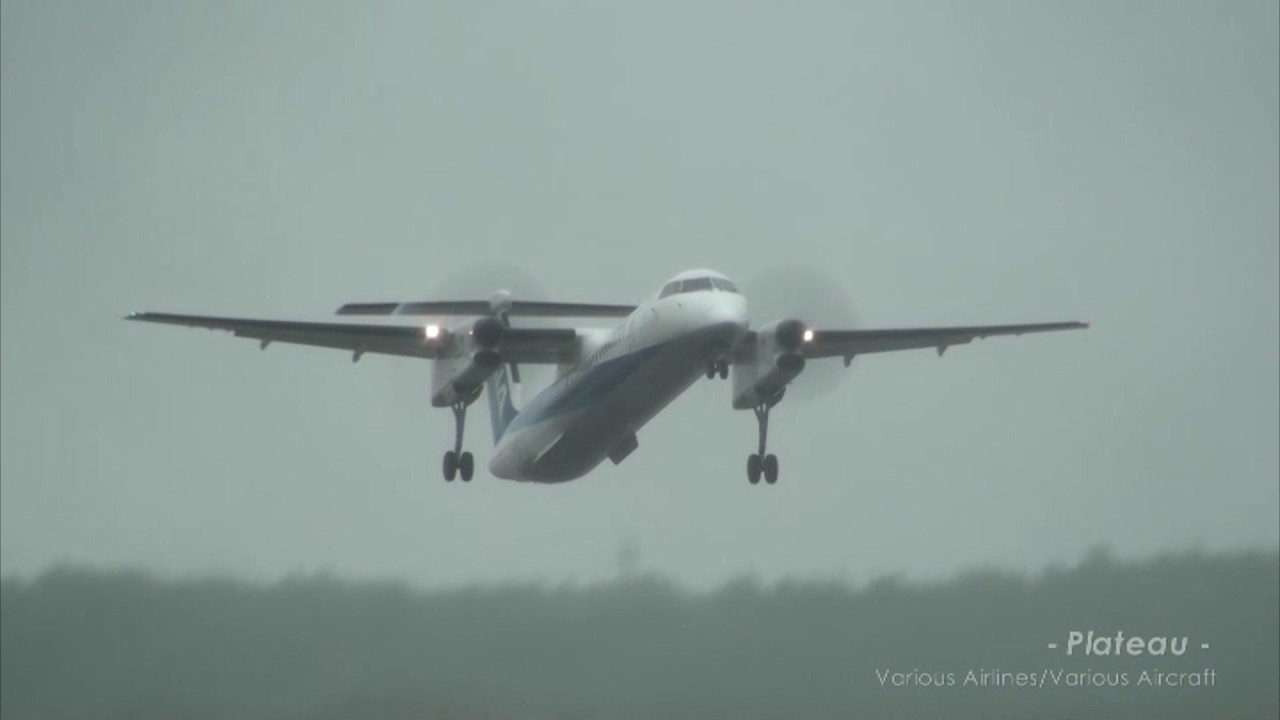中標津空港 - Plateau 2010 -