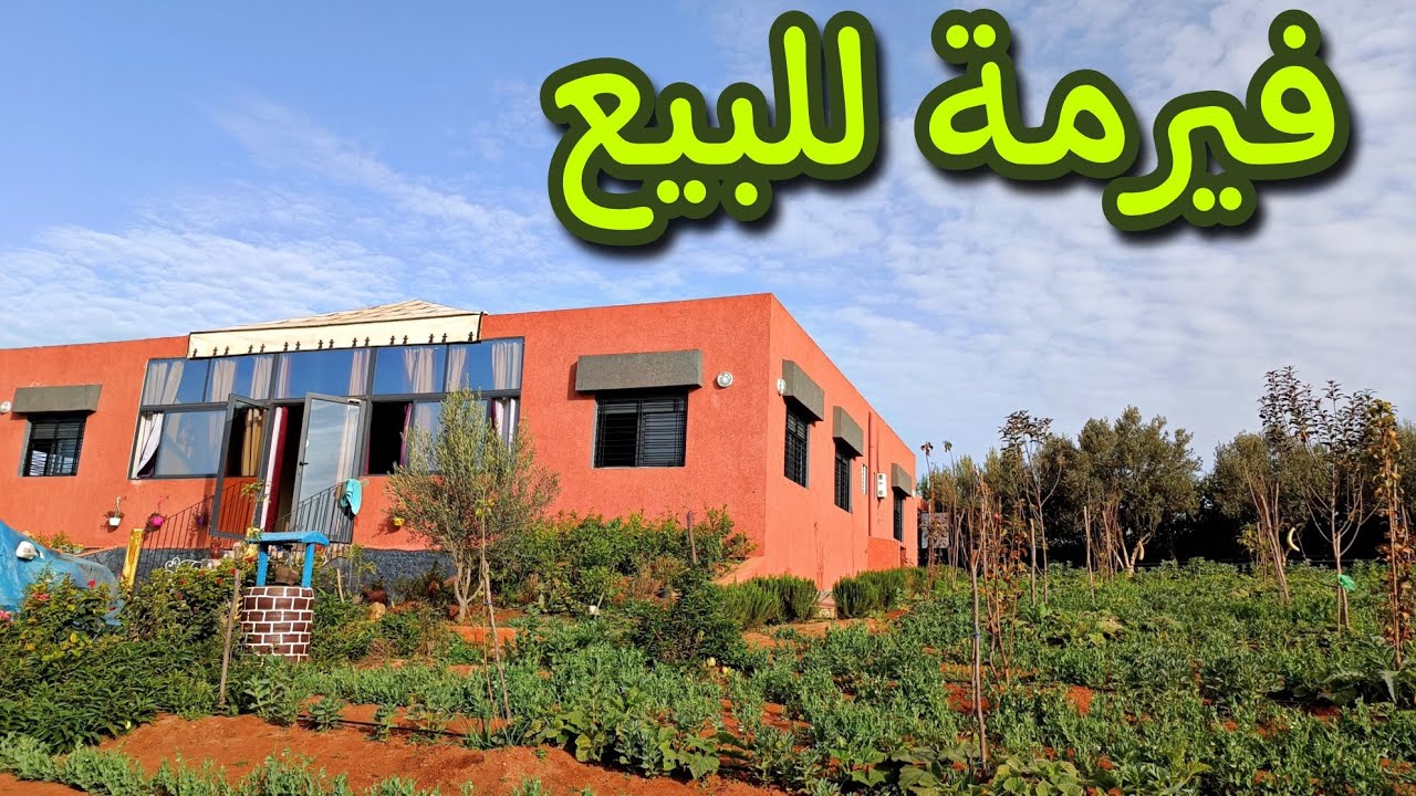 ,(تم البيع)الهوتة لعشاق الفلاحة 🌱 فيرمة زعرية للبيع 🤩 15 دقيقة من الرباط 🇲🇦