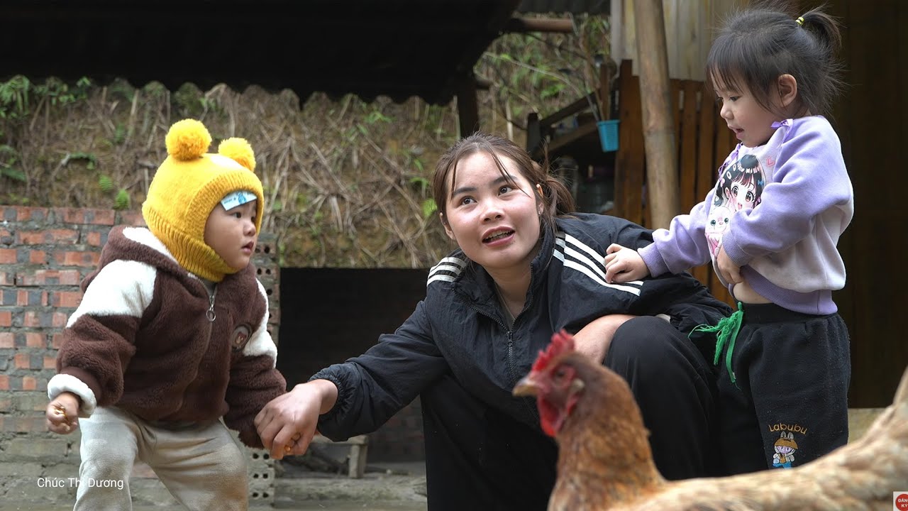 Nhi e Khoi Ajudam a Mãe Solteira a Capturar um Cardume de Peixes Gigantes & Cuidar dos Patinhos