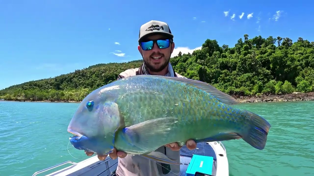 10 Minutes Of The Crusty Crab In Action | Chasebaits Australia