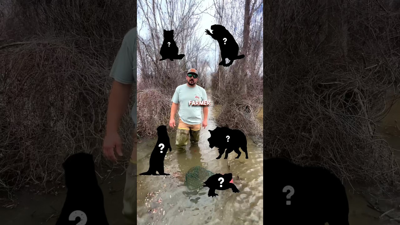 🦞 My Top 5 Enemies&hellip; #crawfish #farming
