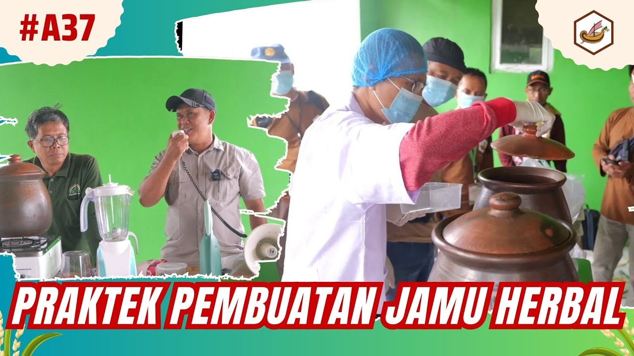 Praktek Membuat Rebusan Herbal