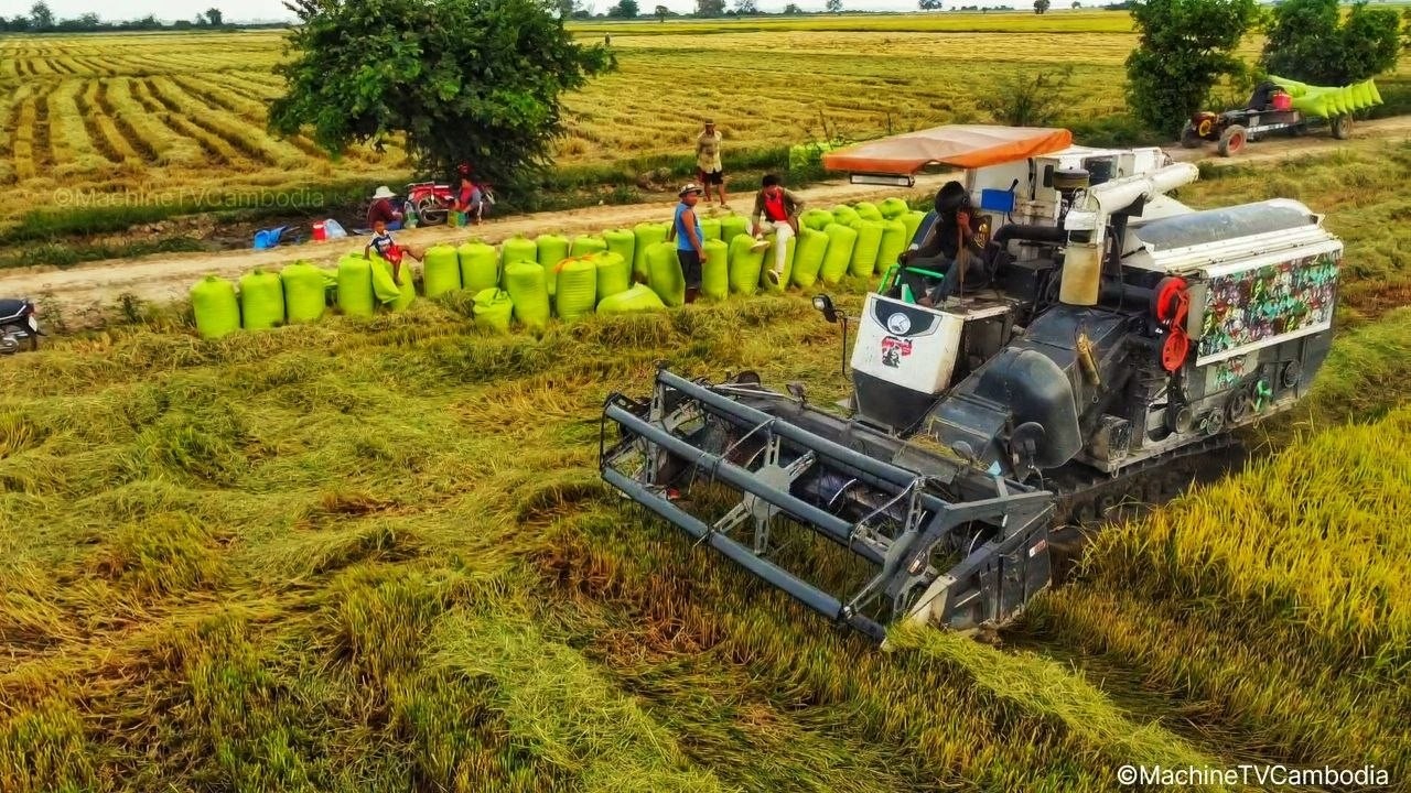 Kubota DC105X Combines Power and Speed in Rice Harvesting