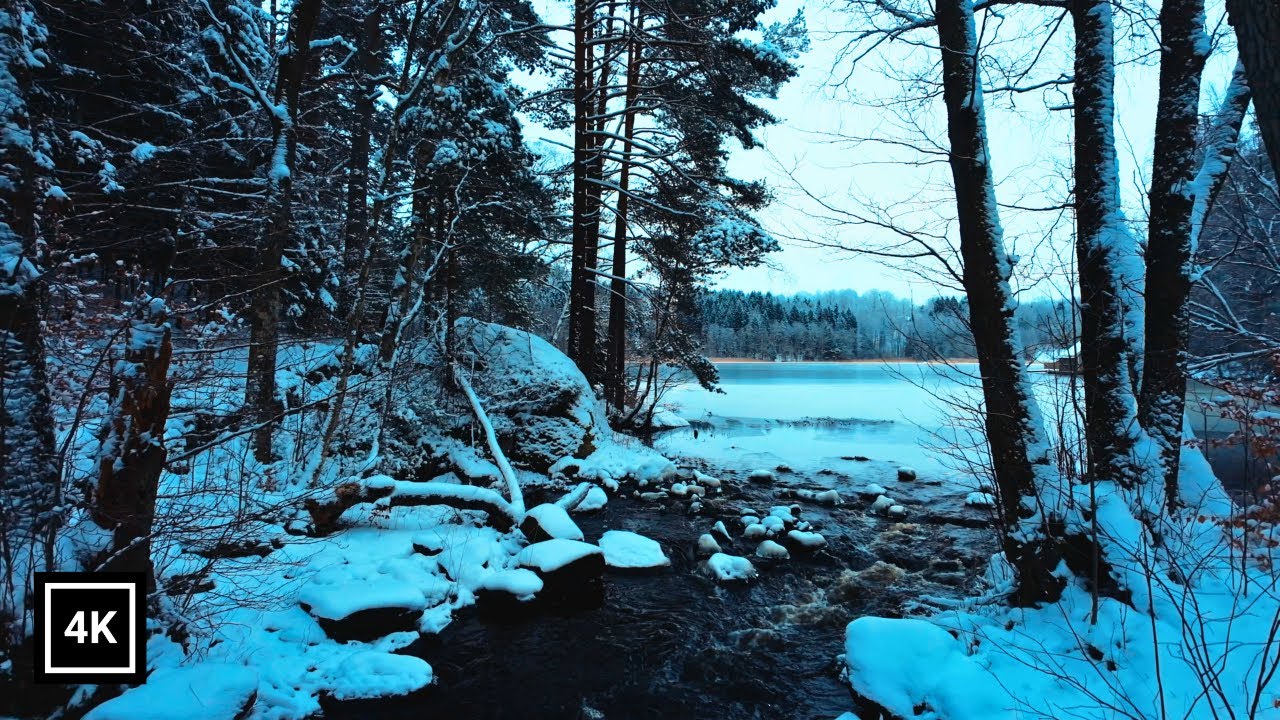 Snowy Lakeside Walk – Silent Winter Forest in Sweden (4K Nature Walk)