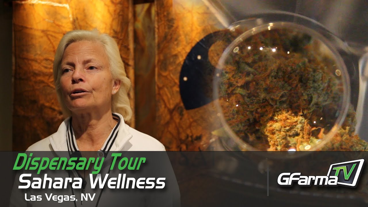 GFarmaTV visits Sahara Wellness in Las Vegas I Dispensary Tour