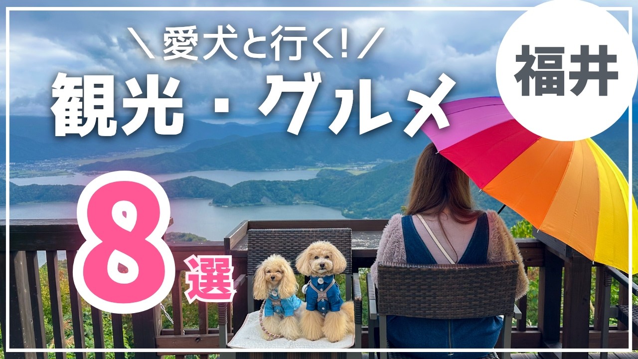 【愛犬と福井観光】恐竜＆絶景カフェを満喫！福井のわんこＯＫ観光&グルメ8選🐶✨｜費用も公開！