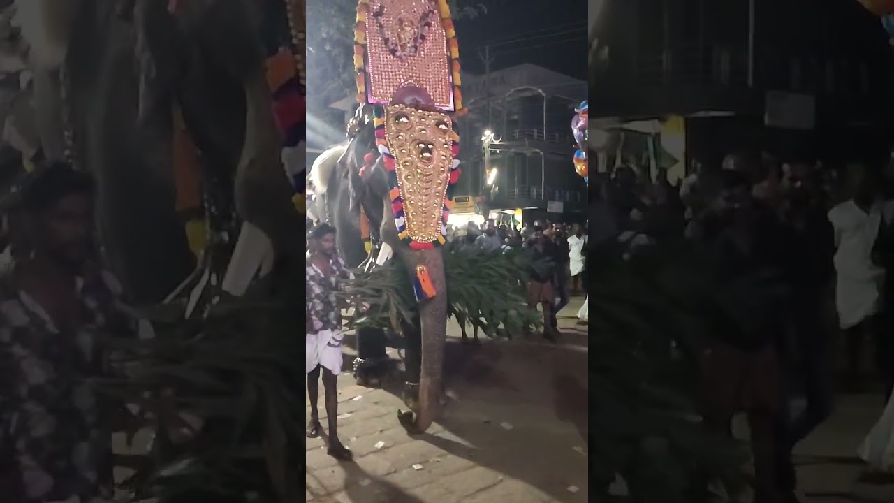 🙏അമ്മയ്ക്ക്🙏പ്രിയപ്പെട്ട ഞങ്ങൾ എല്ലാവർക്കും വളരെയേറെ മനോഹരമായി മഹത്തായിതീർന്നു എല്ലാ നിമിഷവും.... 🙏🙏