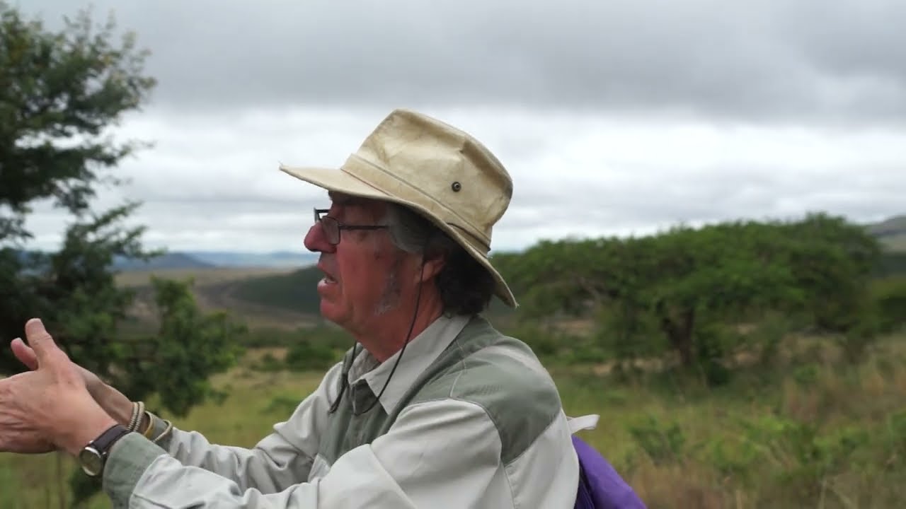 FALL OF THE GUNS AT ISANDLWANA  IAN KNIGHT