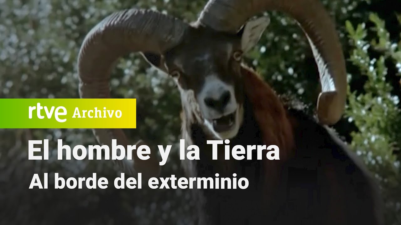 El hombre y la tierra: Capítulo 102 - Al borde del exterminio | RTVE Archivo