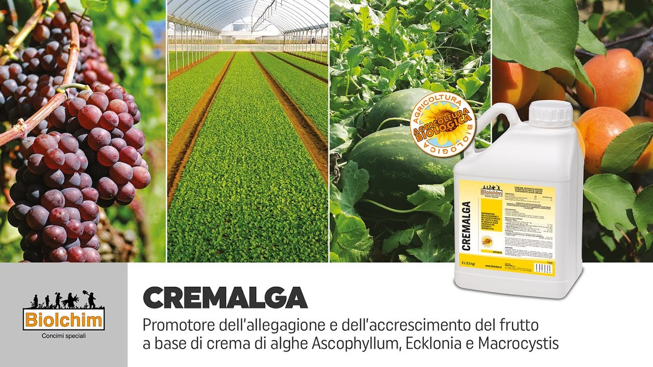 CREMALGA | Promotore dell’allegagione e dell’accrescimento del frutto a base di crema di Alghe