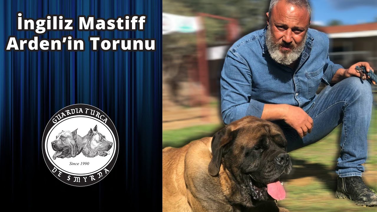 Arden'in Torunu 