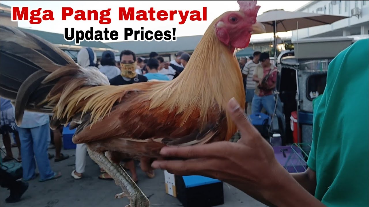 Marc 17,2026 Bentahan Ng Manok Ngayong Araw  Ng Martes, Sa Padre Garcia Batangas,