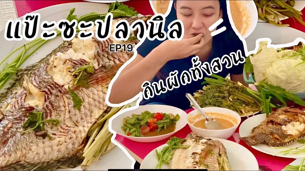 แป๊ะซะปลานิลนึ่งและทอด อร่อยไม่เหมือนใคร แซ่บอีหลีเด้อEP19