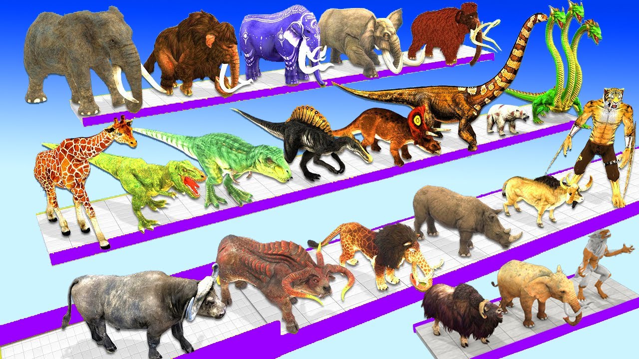 Animals vs Dinosaurs vs Brachiosaurus Hydra Speed Race Run Zigzag Down Course! Super Animal Battle