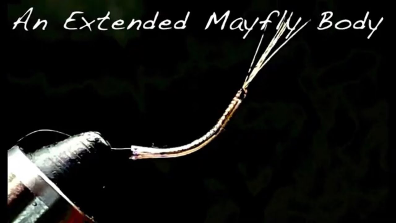 A Extended Ribbed Mayfly Body With Adjustable Tubing