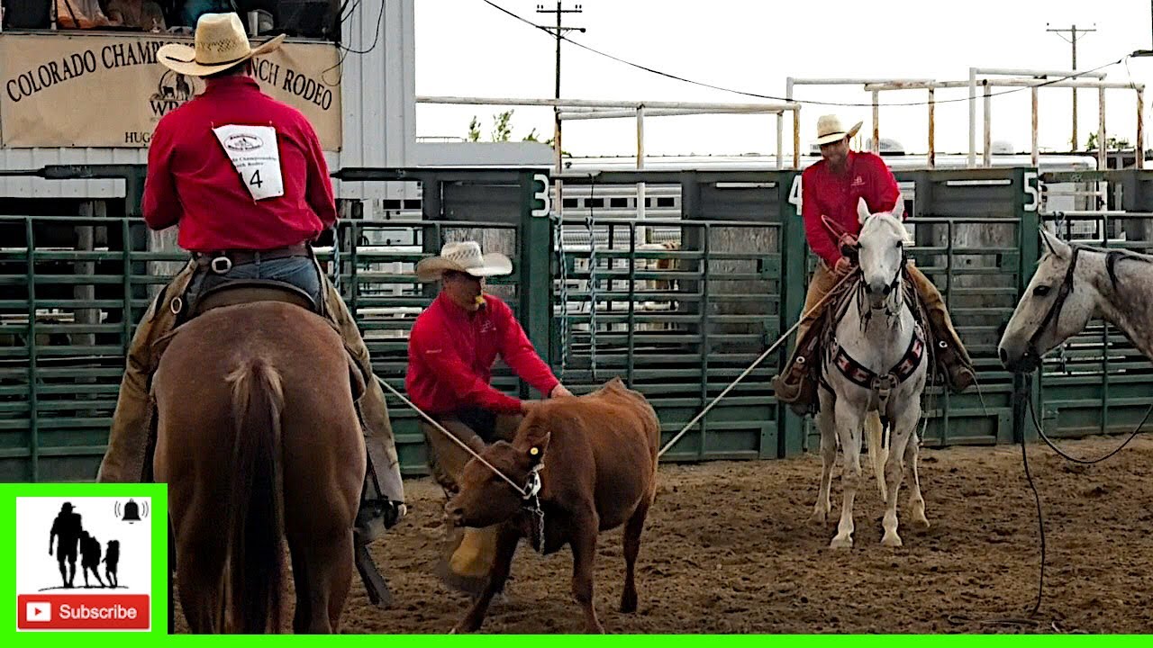 Team Doctoring - 2020 Colorado Championship Ranch Rodeo (Saturday)