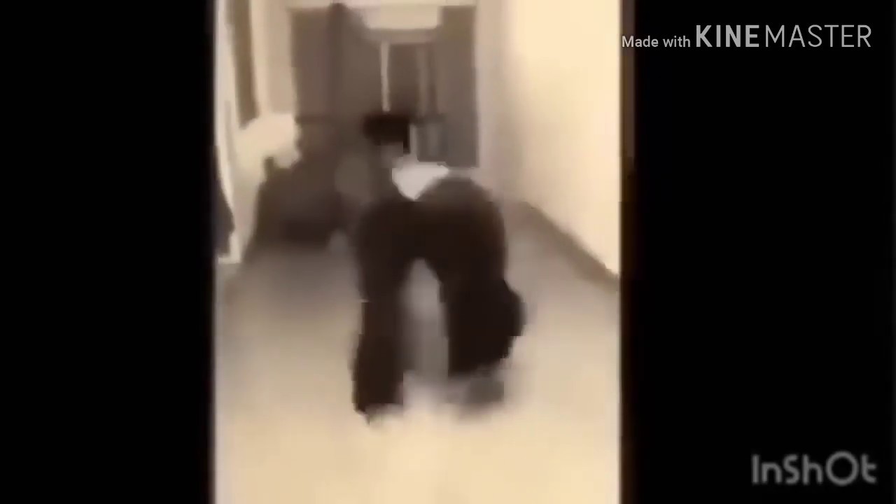 El ayuwoki v.s la morsa bailando cumbia