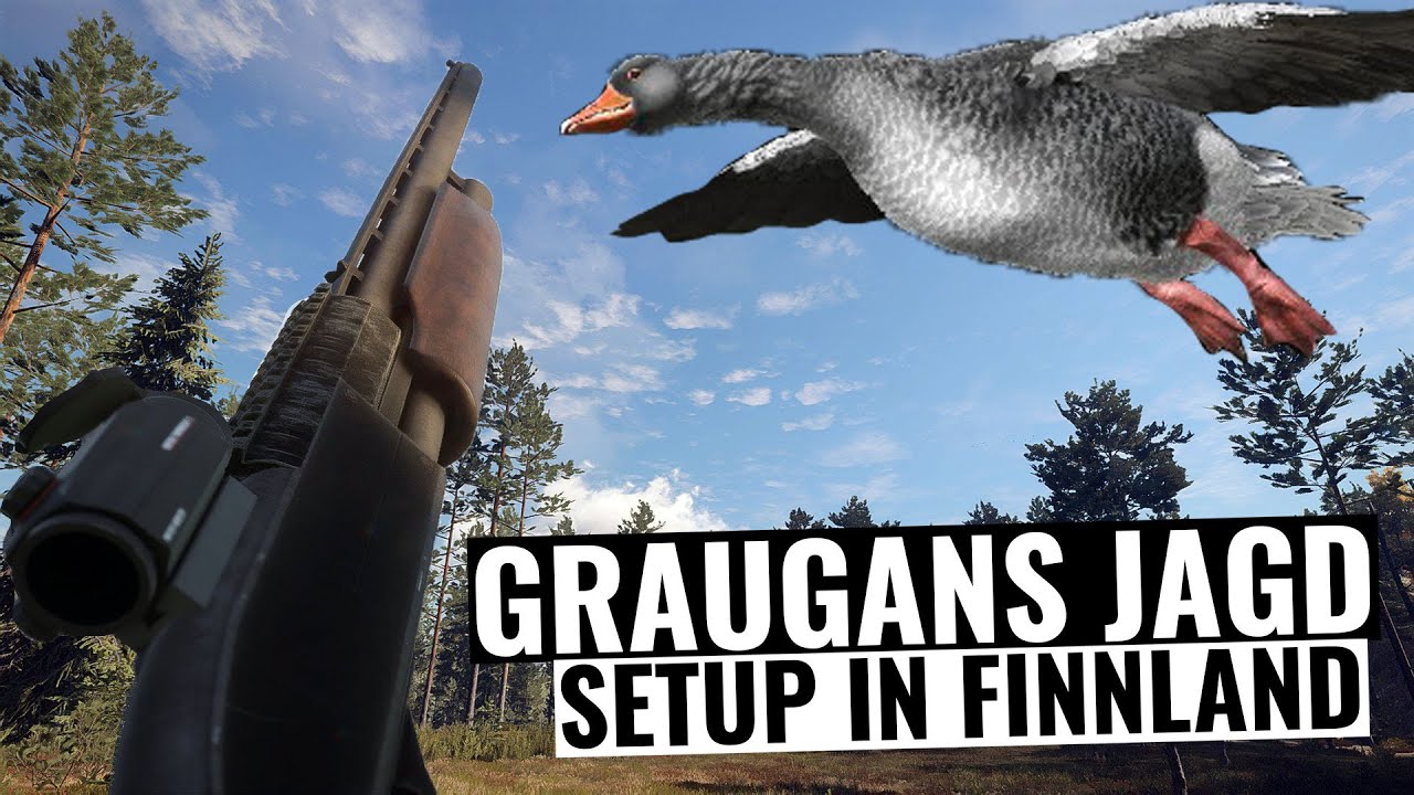 Graugans Jagd, Setup in Finnland! || theHunter Call of the Wild