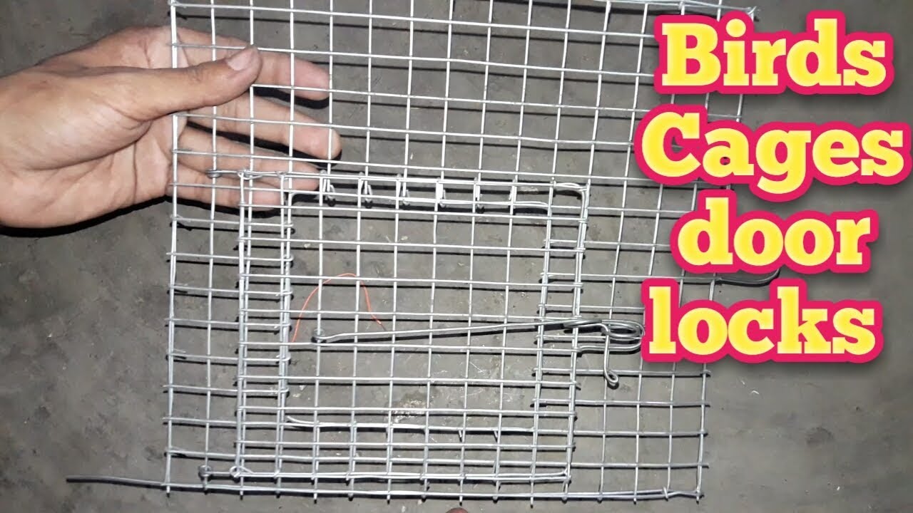 How to make bird cage door lock easily || Birds cages double doors locks,clips  ||