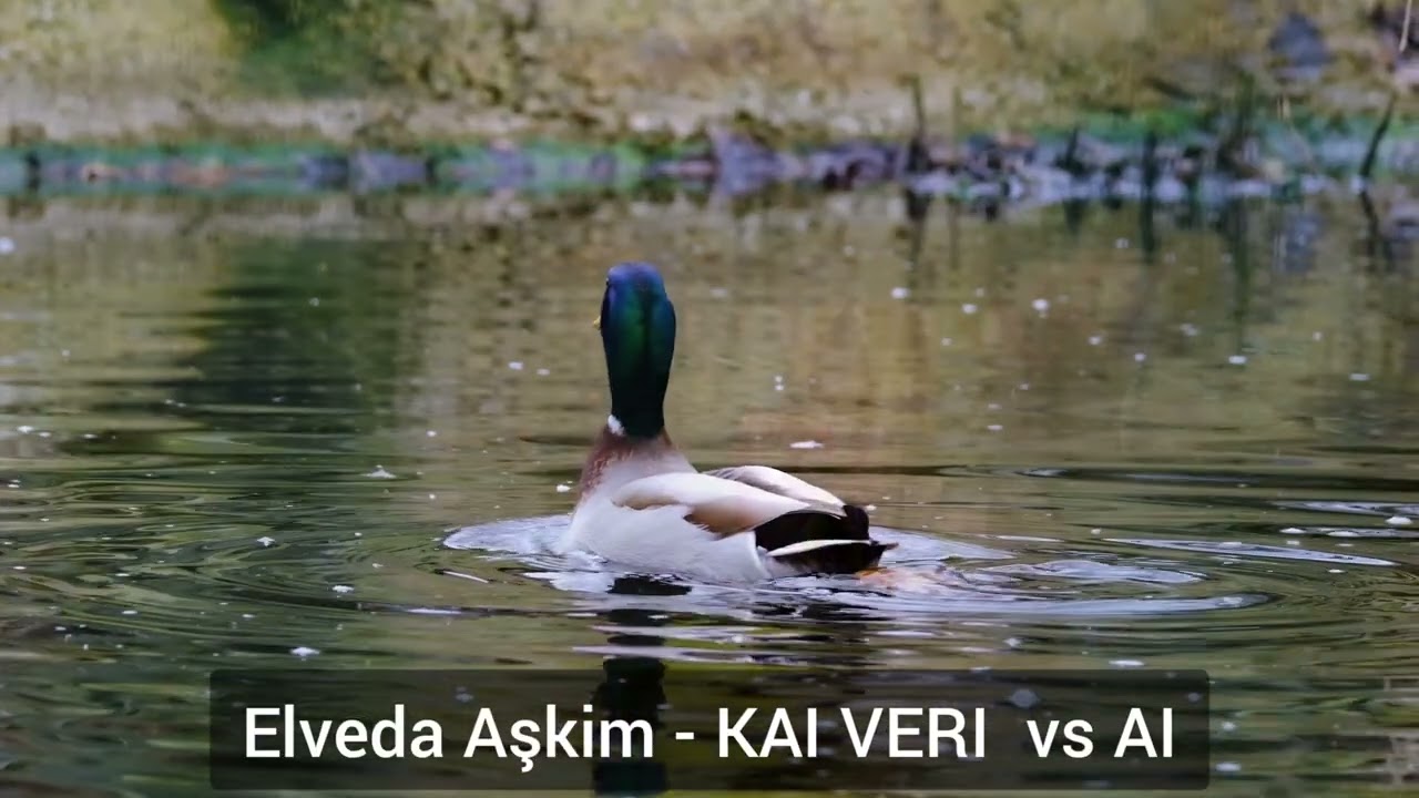 💫 Elveda Aşkım — KAI VERI (Turkish Pop / Ballad - Будущий культовый трек сделаем вместе)