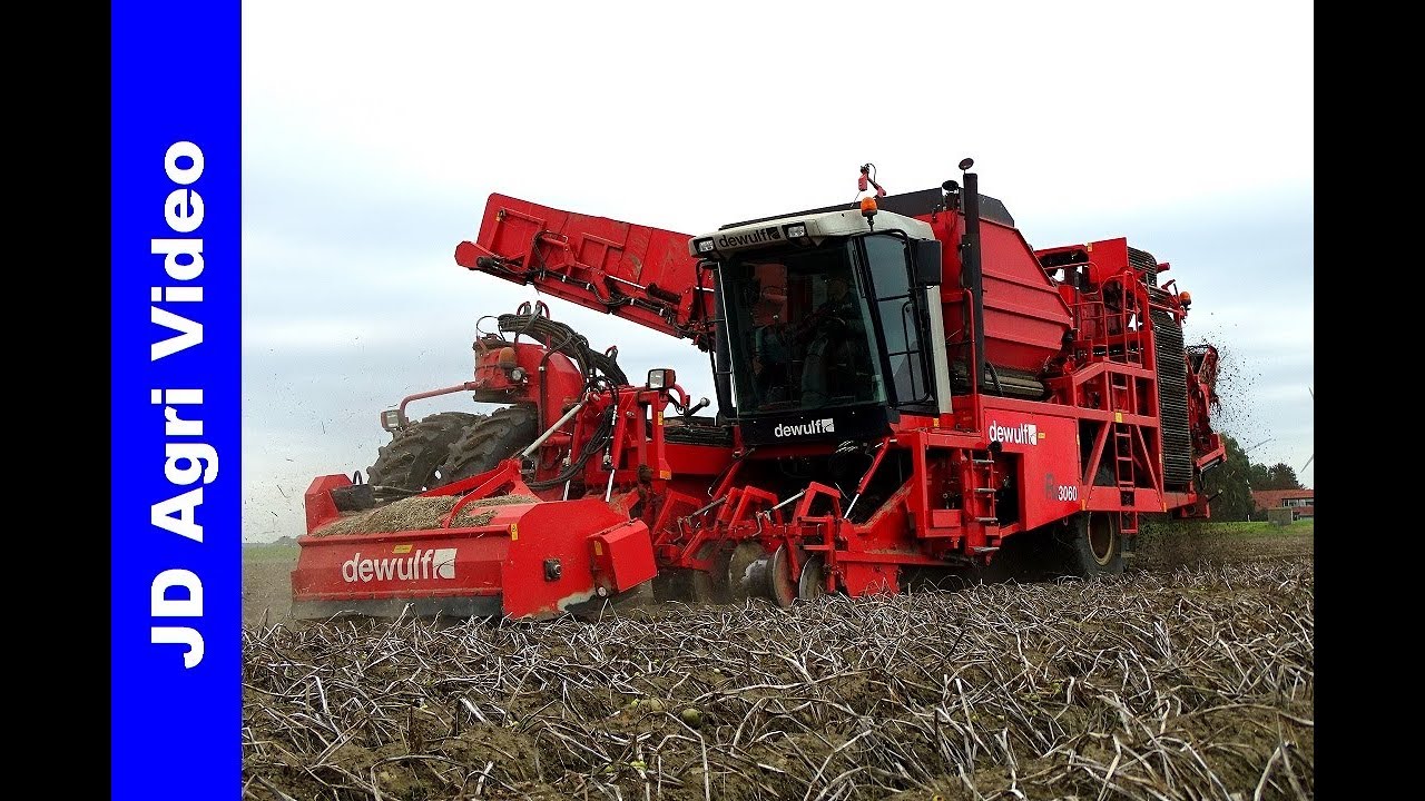 Aardappels Rooien 2018 | Dewulf RA 3060 | van Liere | Harvesting potatoes | Kartoffelernte | Dronten