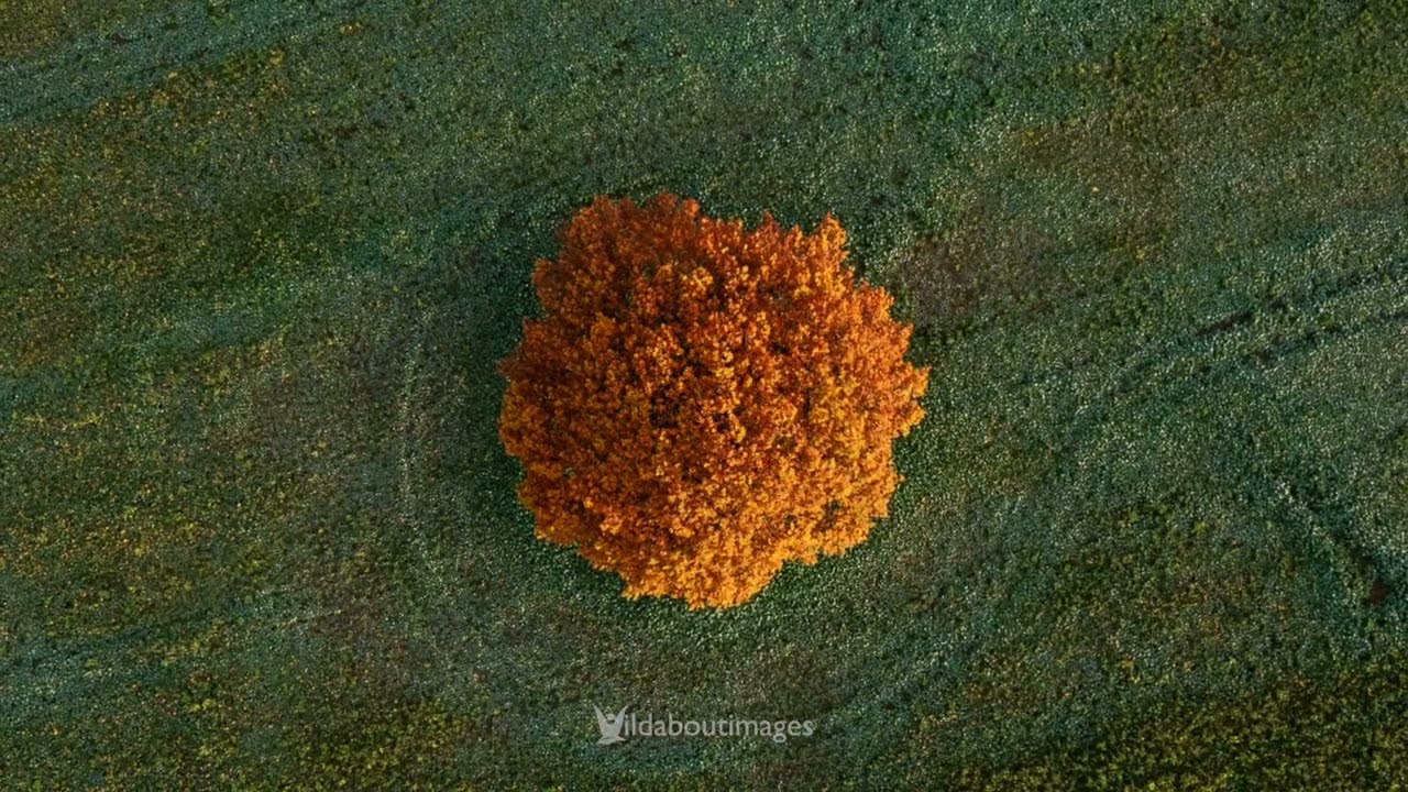 Changing Seasons