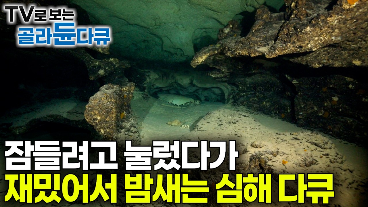 😴수면 다큐✨라고 생각하고 들어왔다가 재미있어서 밤새는 심해 이야기｜인간은 바다의 20% 밖에 보지 못했다｜우리가 몰랐던 심해 속으로｜다큐프라임｜#골라듄다큐