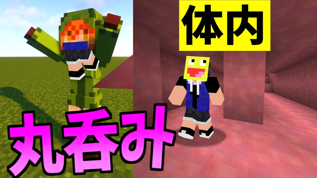 女体化したMOBの体内に侵入して大暴れしてみたら楽しすぎた!-マインクラフト【Minecraft】