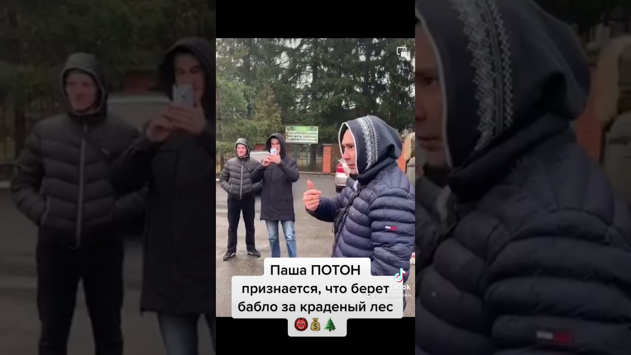 #Предатель Паша #потон признается, что берет деньги за краденный лес💰🌲#разоблачение #корупция
