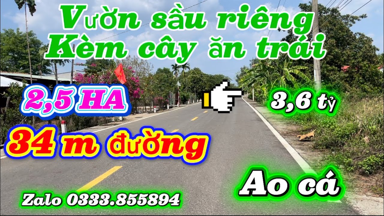 Vườn sầu riêng 5 tháng tuổi xen chôm chôm tiền cường ao cá ngay khu dân cư giá 3,5 tỷ tl