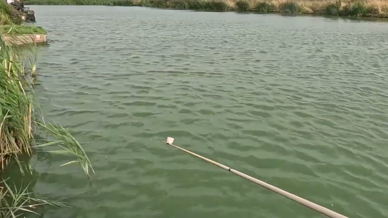 Rookery Waters - Crow Lake - 06/09/2025 - Last 20 Minutes (Condensed to 2 mins).