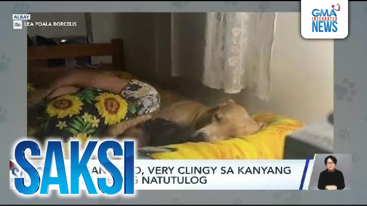 Alagang aso, very clingy sa kanyang amo habang natutulog | Saksi