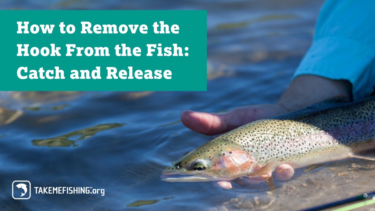 How to Remove the Hook From the Fish: Catch and Release