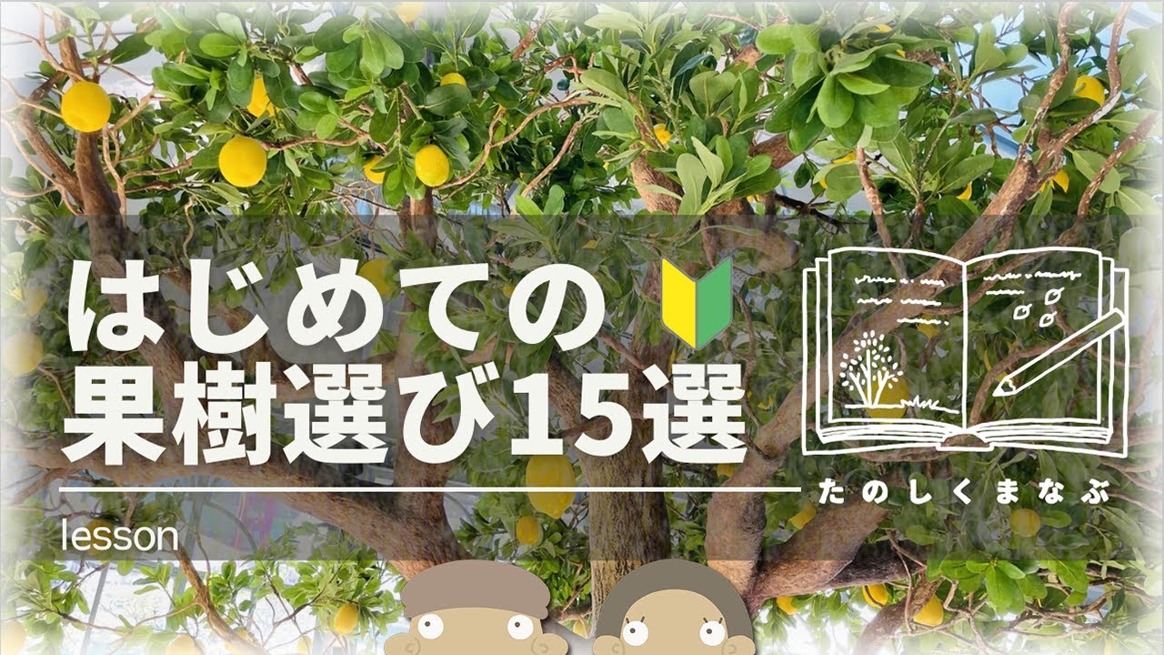 【たのしくまなぶ】庭やベランダで育てる果樹選び🔰15種類紹介
