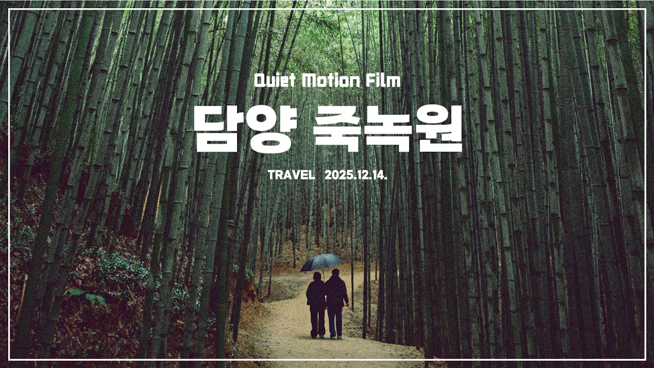 바람, 대나무를 스치우다 - 담양 죽녹원